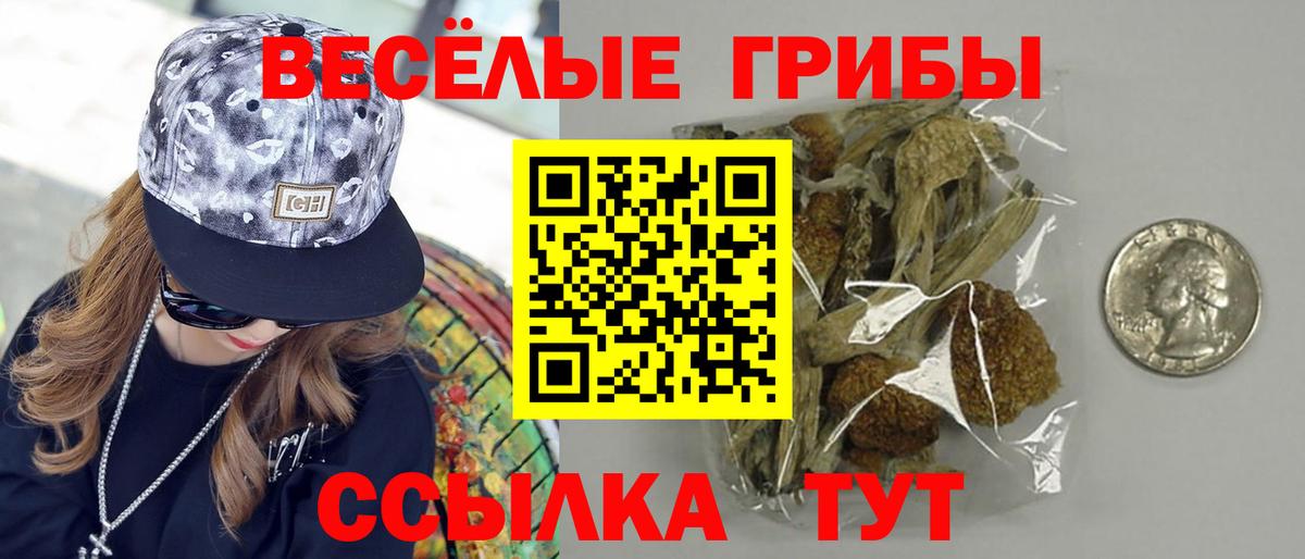 Псилоцибиновые грибы Cubensis  Псилоцибиновые грибы мицелий  Гусев  Вход с VPN 